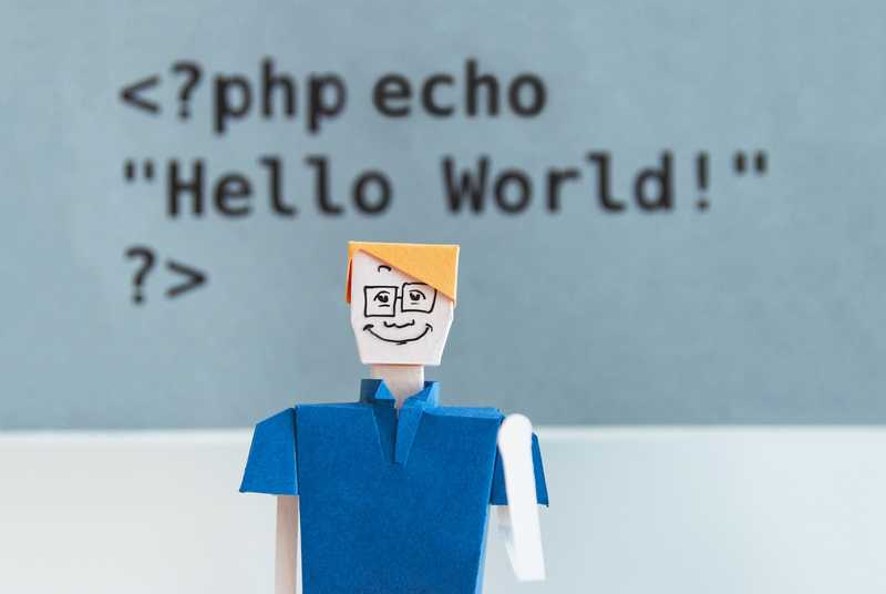 Papercraft toy in front of PHP echo statement