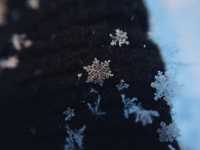 Close-up of a snowflake on black whool